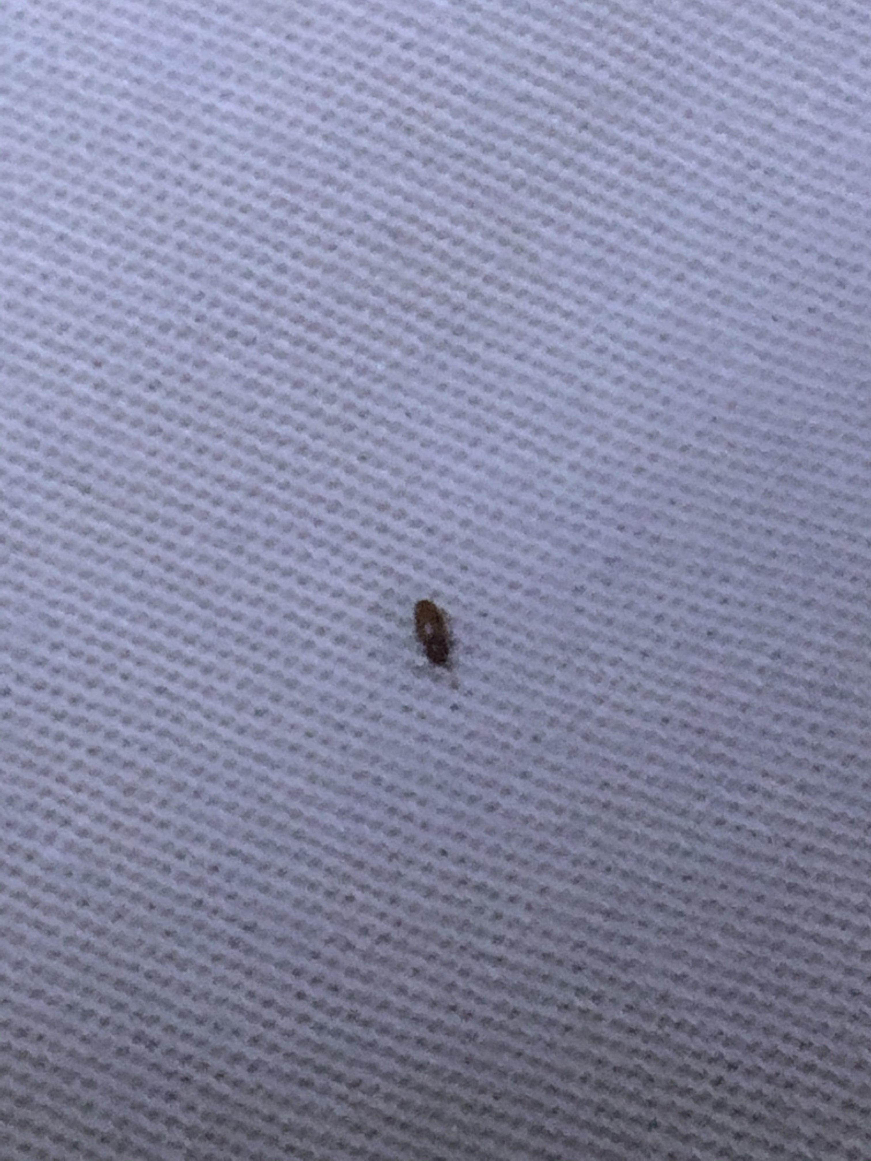 娱乐生活 第117页