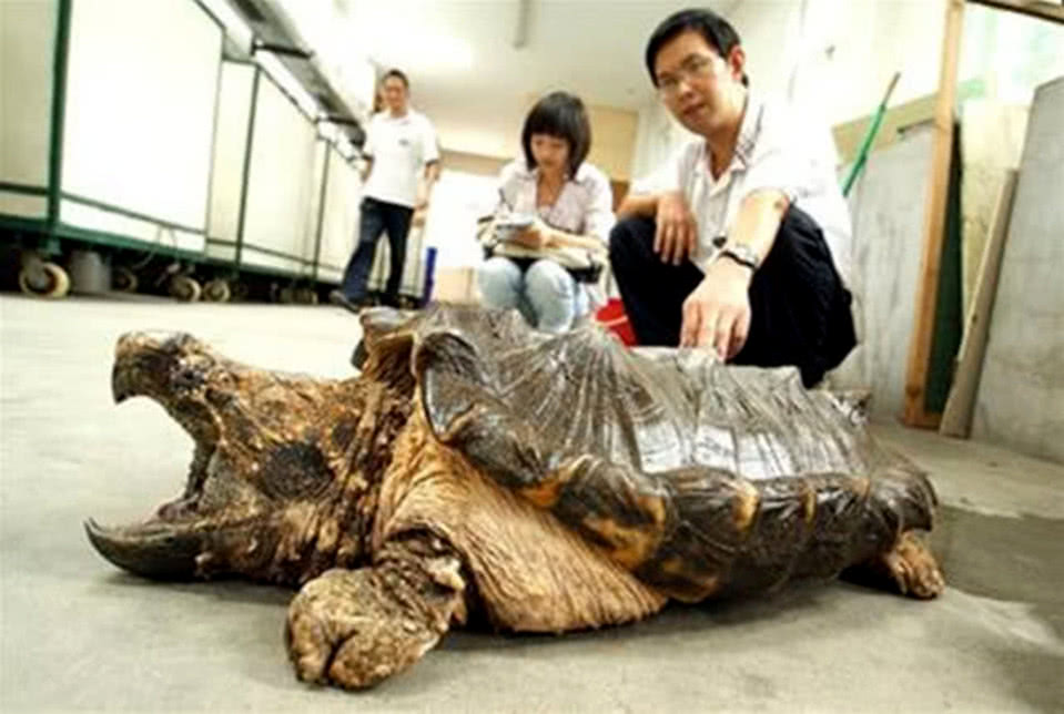 地方新闻 第106页