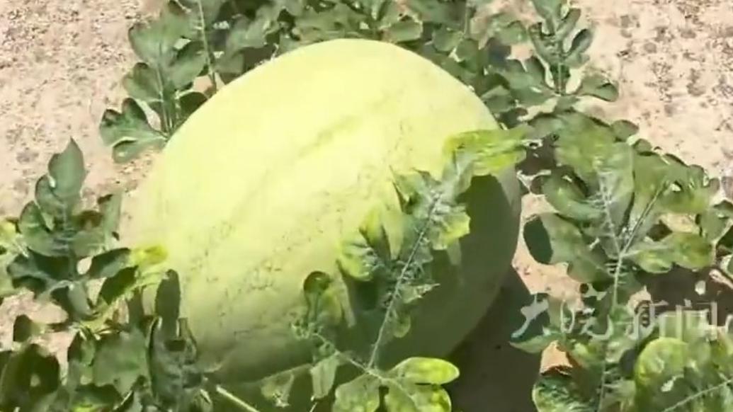 游戏专题 第83页