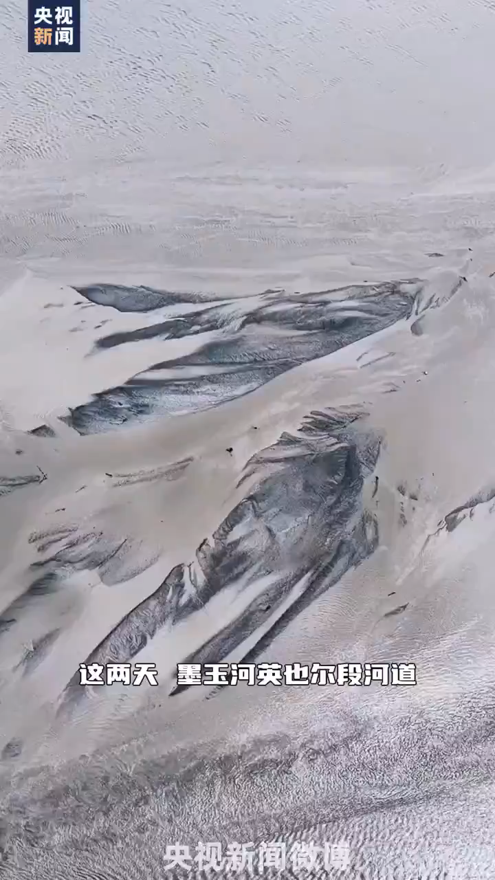最新资讯 第56页