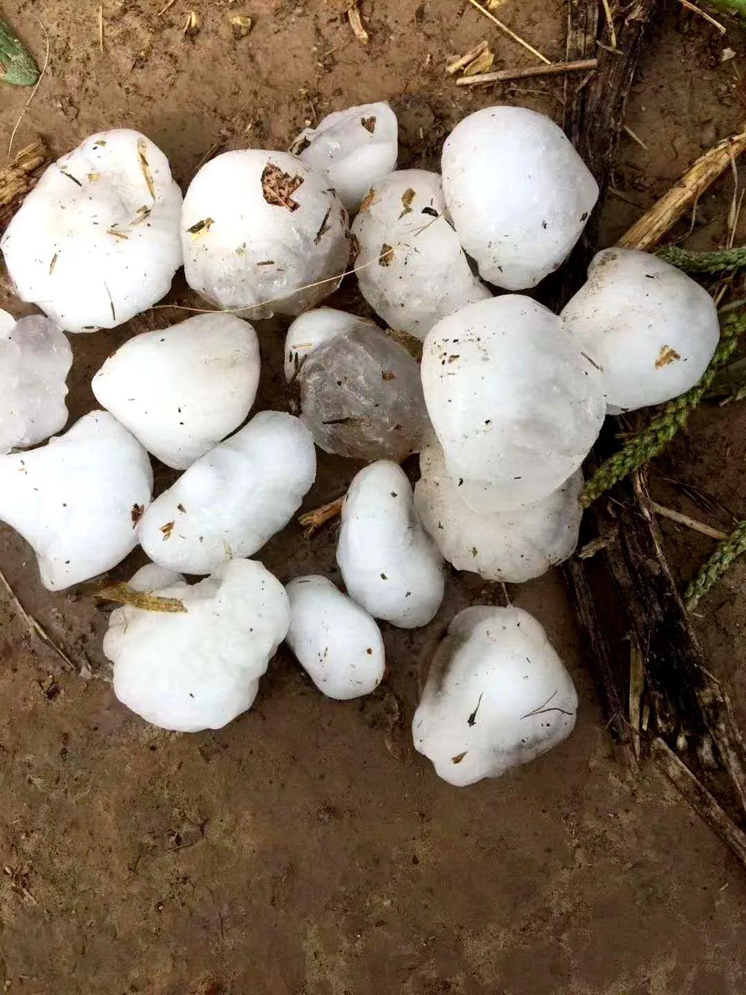 热点生活 第7页