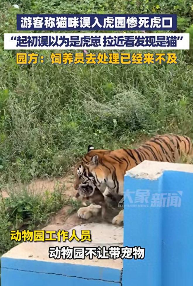娱乐生活 第9页