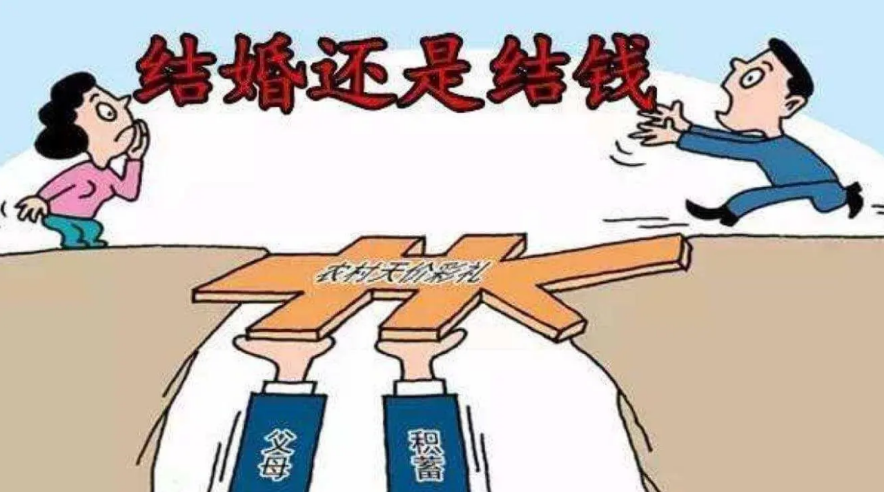 33万彩礼闪婚闪离揭秘33万彩礼闪婚闪离，背后的故事与现象解析